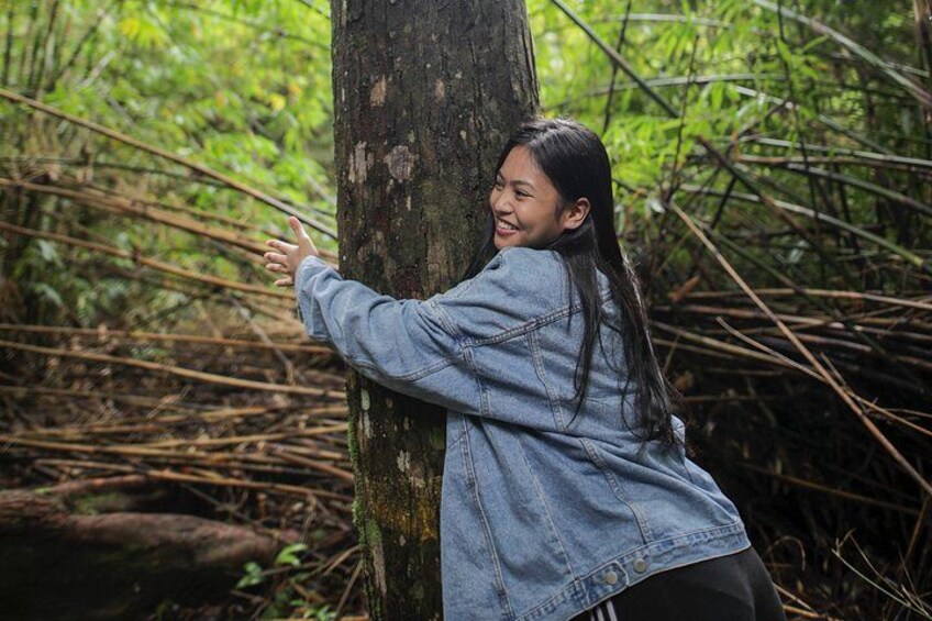 A person hugging a tree in a forest. 1