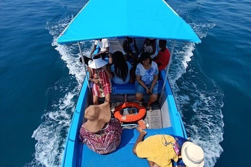 A boat with passengers wearing hats and a blue canopy, moving through the ocean. 1