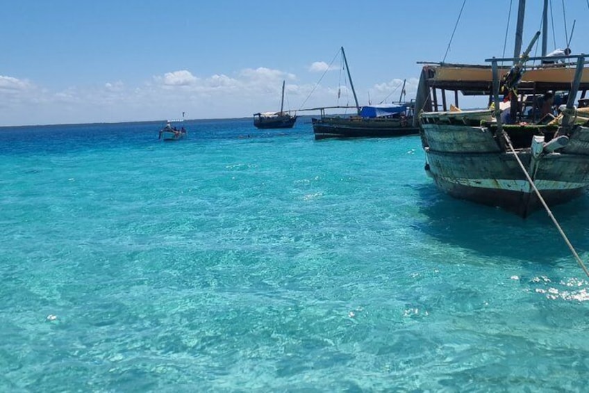Kisite Mpunguti Dolphin Safari & Snorkeling with Wasini Island 3