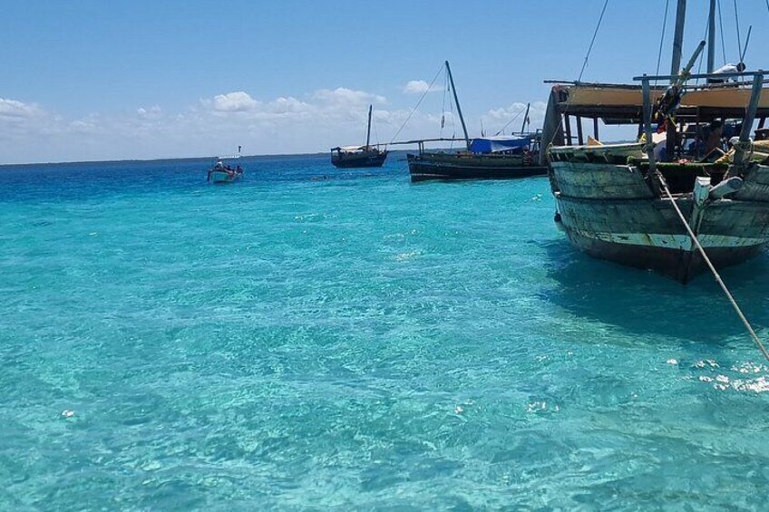 Kisite Mpunguti Dolphin Safari & Snorkeling with Wasini Island 3