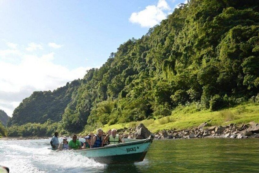 A boat with people on a river surrounded by lush greenery. 5