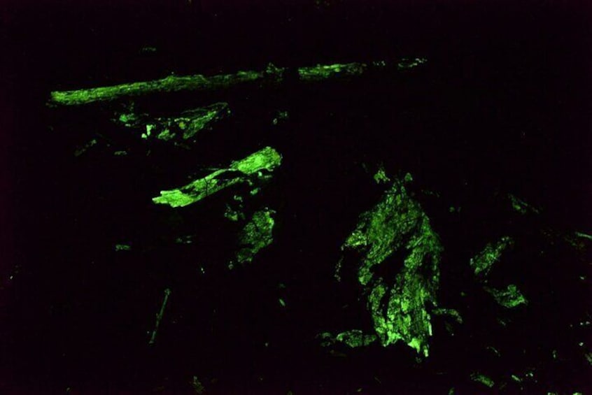 A dark scene with faint green outlines of what appears to be a structure or object. 4