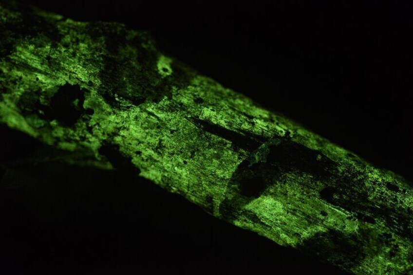 A green-lit wooden surface with visible wear and tear. 3