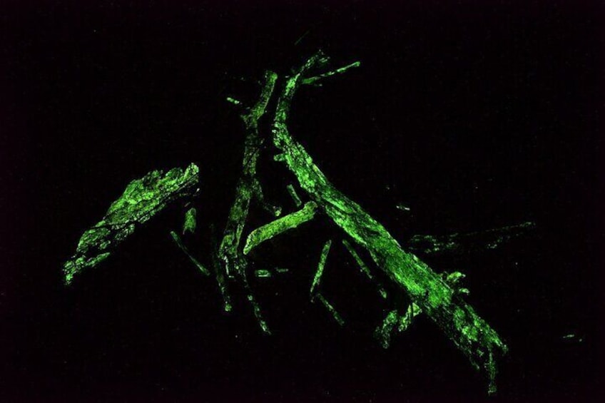 A dark scene with green glowing structures. 5