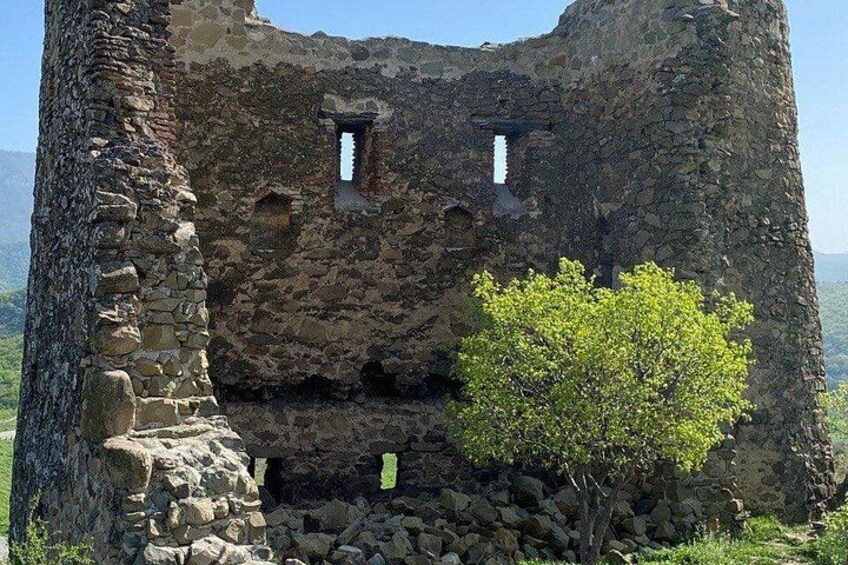 Une ruine de pierre avec deux fenêtres et un arbre devant. 3