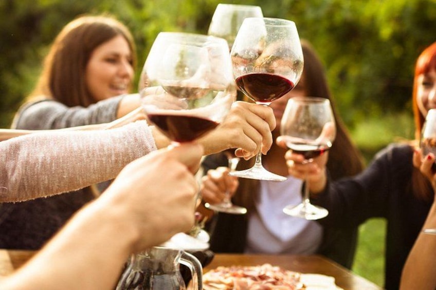 A group of people toasting with wine glasses at a table outdoors. 1