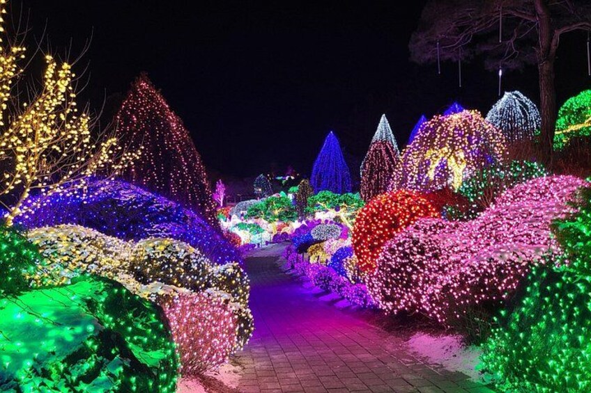 A nighttime garden with illuminated trees and bushes. 3
