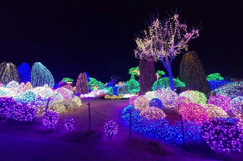 A nighttime garden with illuminated trees and bushes. 4