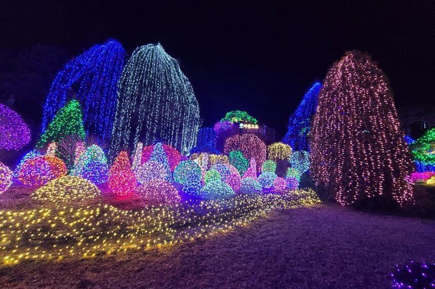 A nighttime garden with illuminated trees and bushes. 5
