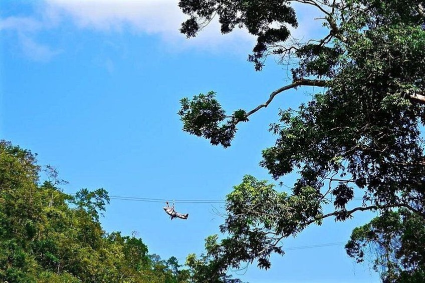 Un helicóptero volando sobre una zona boscosa con líneas eléctricas a la vista. 1