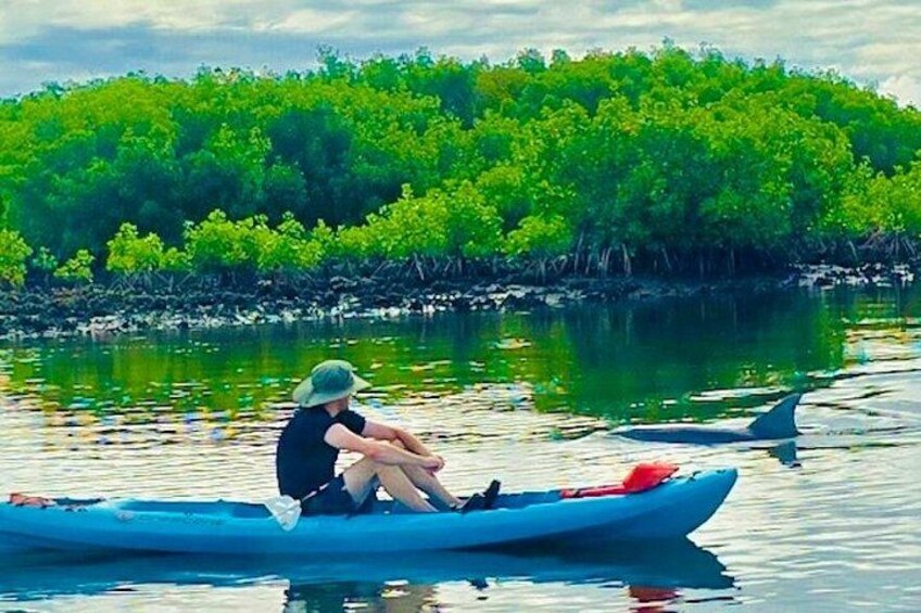 Kayaking and seeing the Dolphins up close is always great! 2