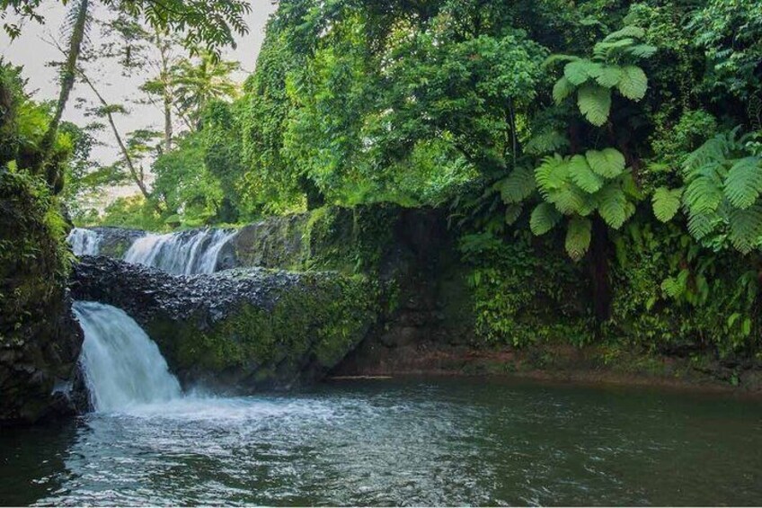 Ultimate Upolu Highlights Tour – Apia Cruise Ship Shore Excursion 4