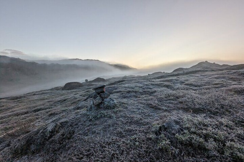 A frosty landscape with a bird perched on a rock. 3