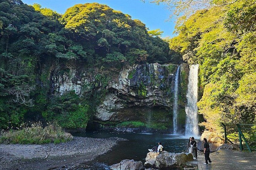 100% Safety Return - Jeju UNESCO Shore Excursion Cruise 2