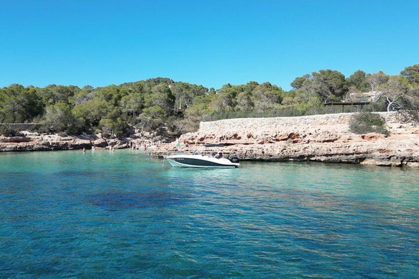 Private Boat Tour of San Antonio with Paddel surfing and Snorkeling 3