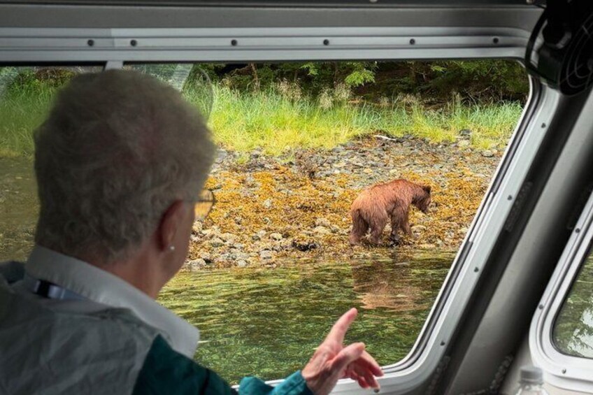 Sitka Premier Whale Watching and Wildlife Tour 4