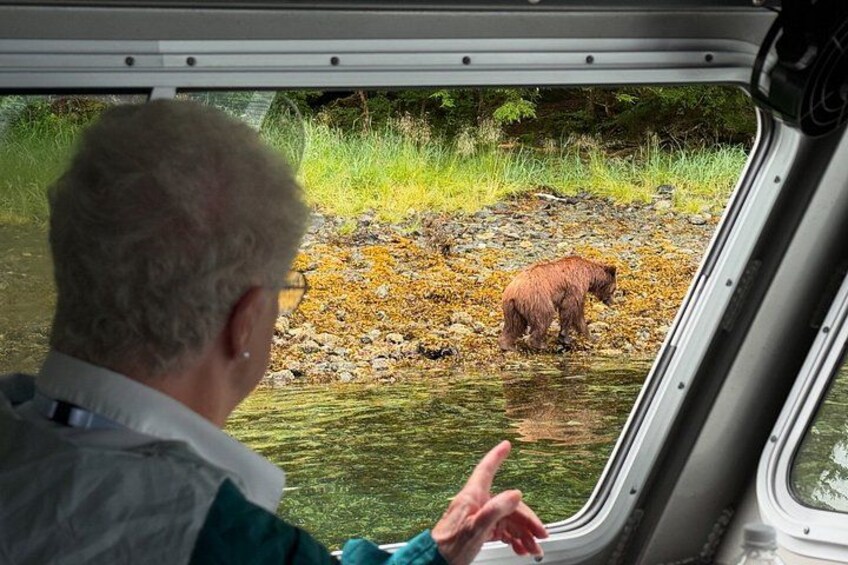Sitka Whale Watching & Wildlife Adventure 3