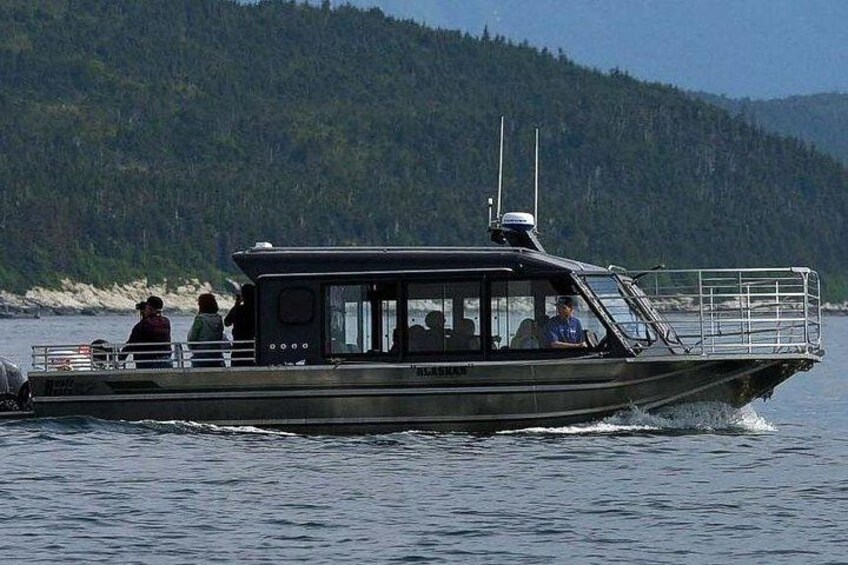 Sitka Whale Watching & Wildlife Adventure 5