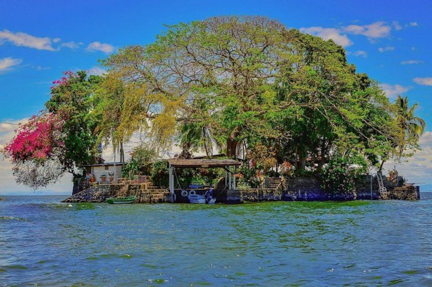 Una isla tropical con una casa rodeada de exuberante vegetación y un cielo azul cristalino. 4