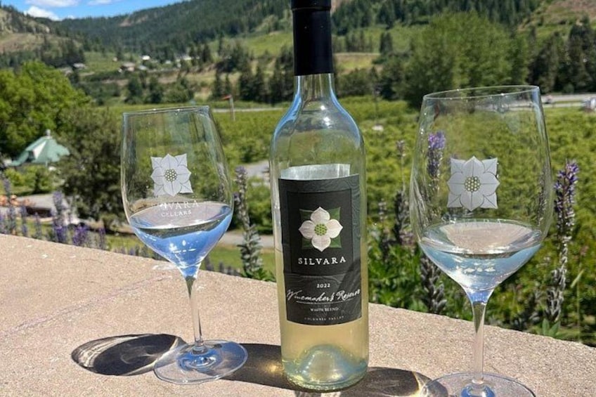 Una botella de vino Silvana y dos copas sobre un alféizar, con un viñedo al fondo. 5
