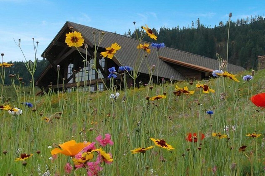 Una cabaña de madera con techo inclinado rodeada por un campo de flores silvestres. 3