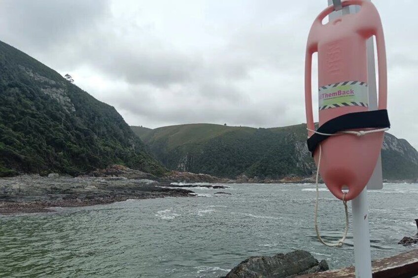 1 Day Garden Route Tour from Port Elizabeth to the Crags 3