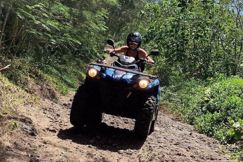 BORA BORA ATV TOUR, BORA BORA QUAD ADVENTURE, BORA BORA ISLAND TOUR, JET SKI ADVENTURES, EAGLES, SHARKS, OCEAN, FISH, BLUE LAGOON,, VIEWPOINT, EXCLUSIVE SPOTS, GALLERY, PAINTING 4