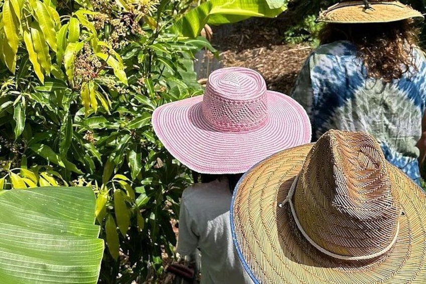 A person wearing a straw hat, surrounded by green foliage and plants. 1