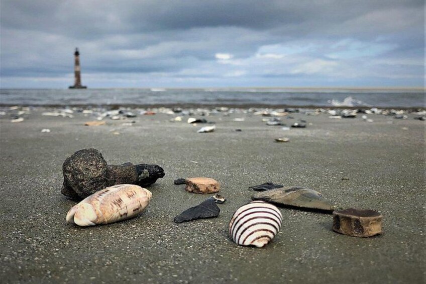 Great shelling! 2