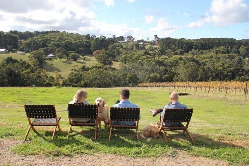 Three people sitting on chairs in a grassy field with a vineyard in the background. 1