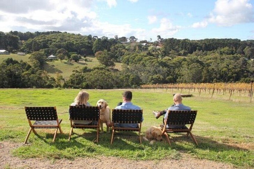 Mornington Peninsula Winery, Beer and Spirits Tour 5