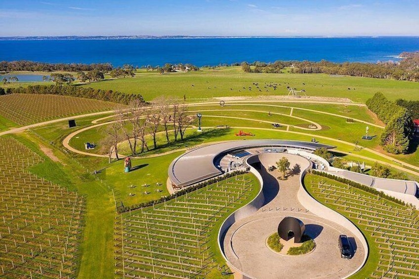 A vineyard with rows of grapevines, a winding road, and a large body of water in the background. 1