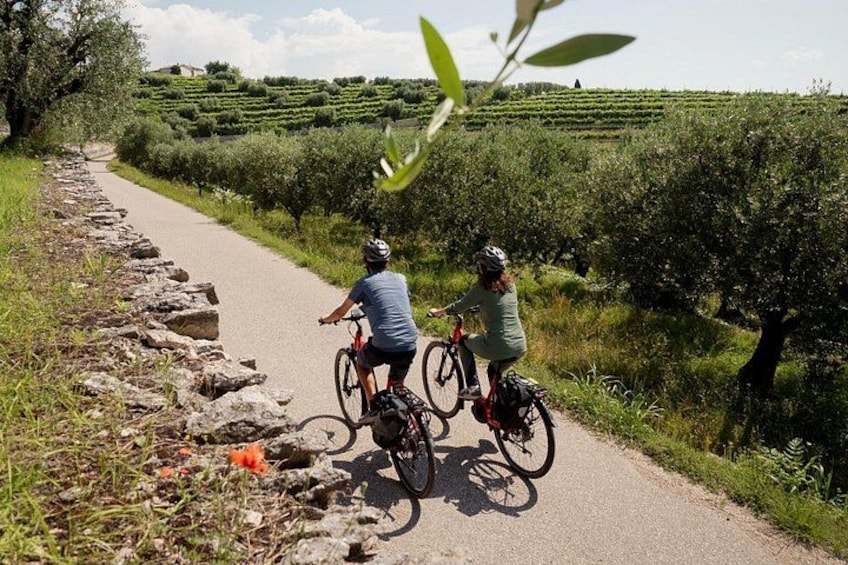 Twee fietsers op een verhard pad, omringd door weelderige begroeiing en glooiende heuvels. 1