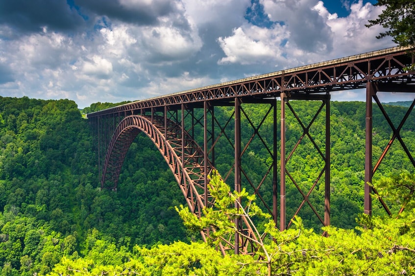 A steel bridge arching over a dense forest. 5