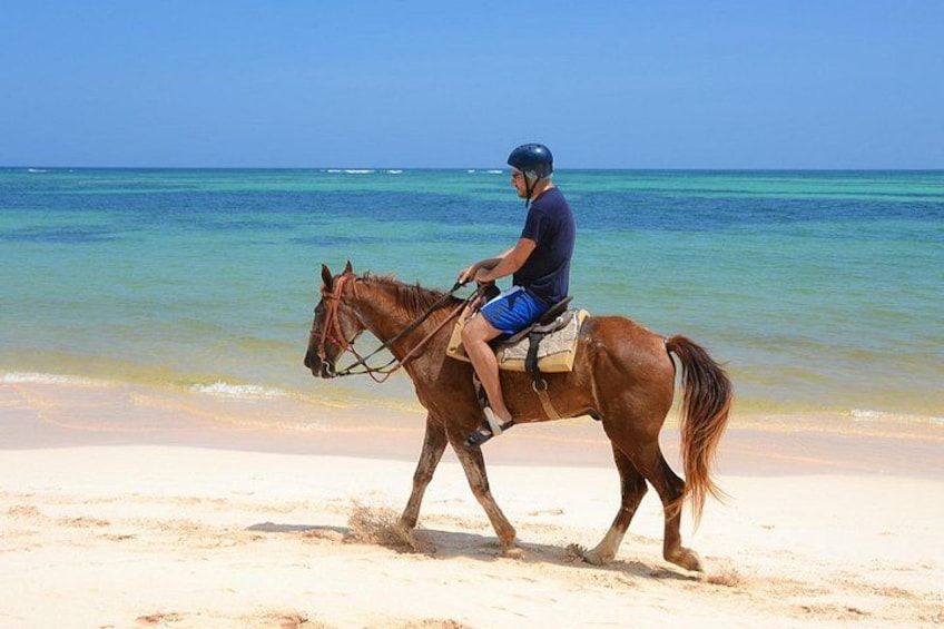 Shared horseback riding Punta Cana Beach 5