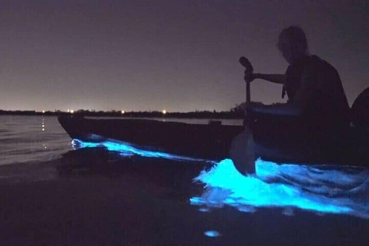 アクアブルーな擬宝珠オルゴナイト❷♩¨̮⑅* Holbox Bioluminescence: Night Kayak & Stargazing Eco Tour