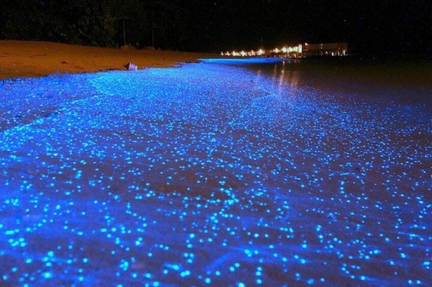 A beach at night with blue lights covering the sand. 3
