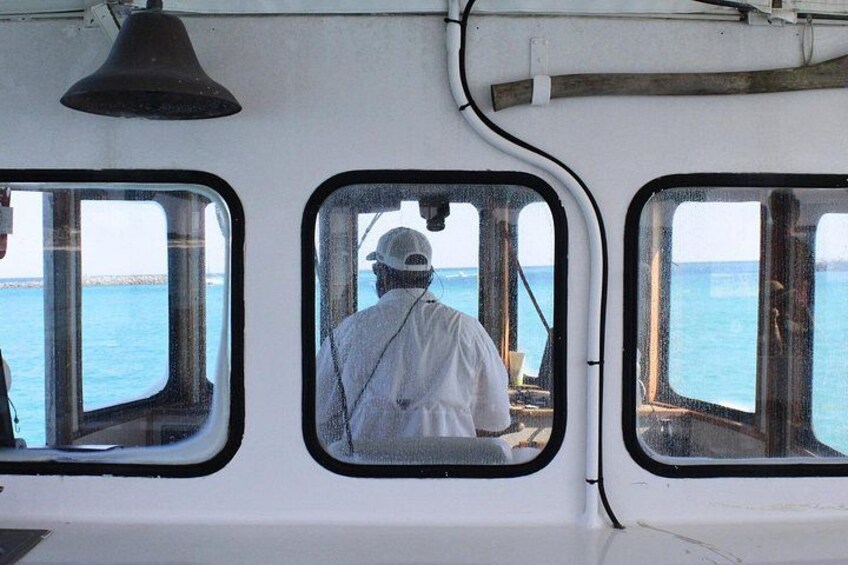 Destin's Original Dolphin Cruise on the Southern Star 2