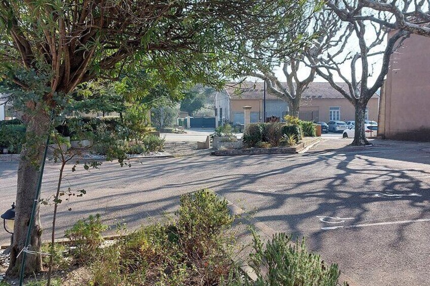 A quiet residential street with houses, parked cars, and trees casting shadows on the pavement. 2