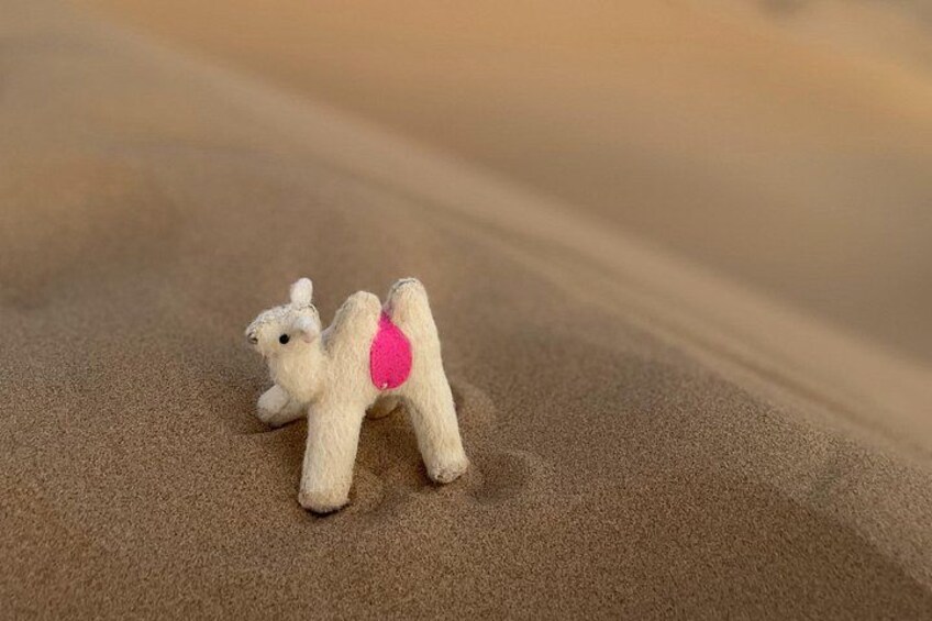 A small plush toy camel on a sandy surface. 5