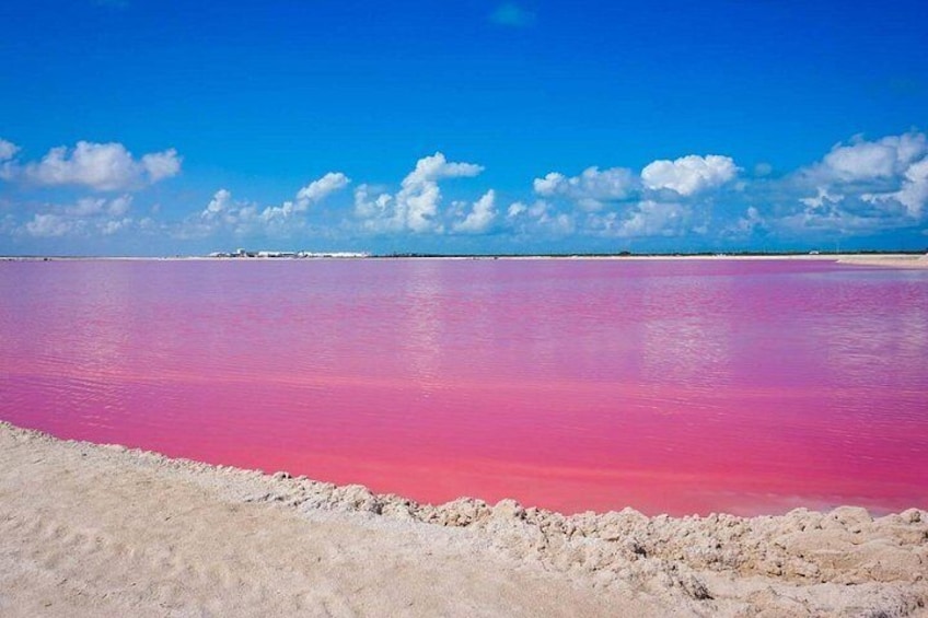 Las Coloradas, Río Lagartos and Playa Cancunito Tour from Mérida 3