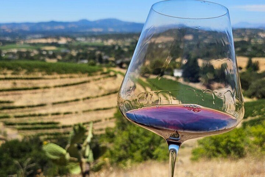 Una copa de vino tinto frente a un viñedo. 2