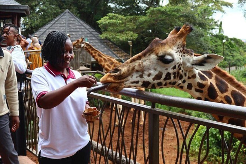 Giraffe Centre and Karen Blixen museum from Nairobi 2