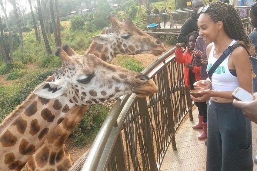 Giraffe Centre and Karen Blixen museum from Nairobi 4