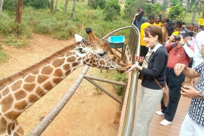 Giraffe Centre and Karen Blixen museum from Nairobi 5