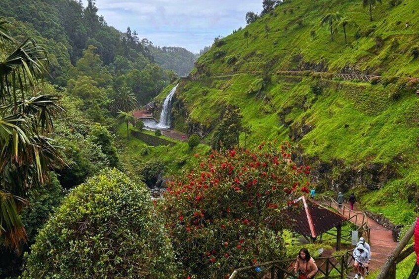 Une vallée verdoyante et luxuriante, avec une cascade, un arbre aux fleurs rouges et un pont en bois. 4