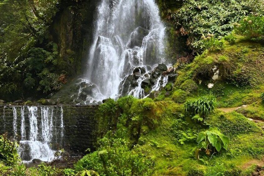 Une cascade d’eau se déversant sur des rochers, le tout étant entouré d’une végétation luxuriante. 5