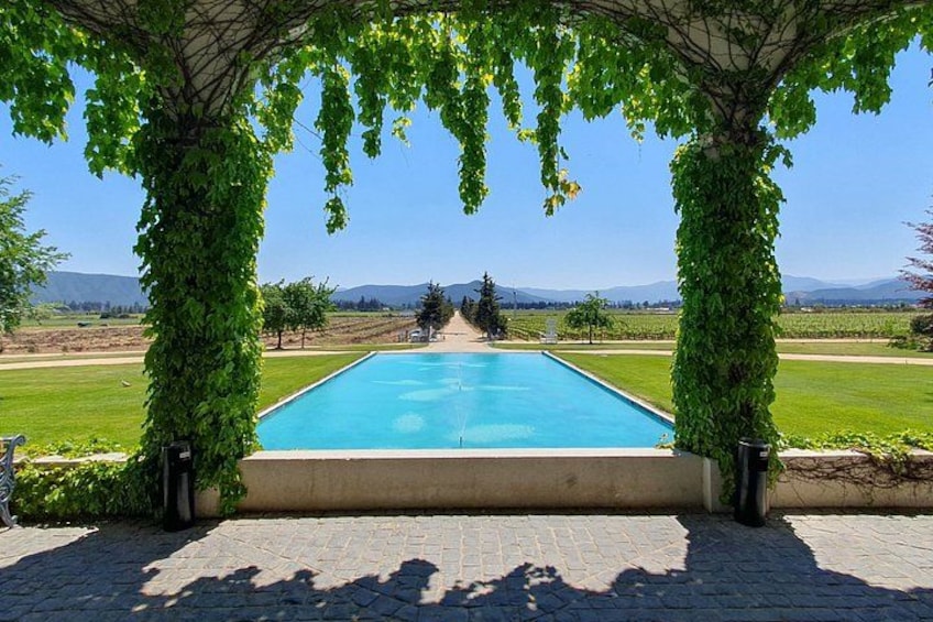 Casablanca world class wines, 4 vineyards & Tanino lunch stop 5