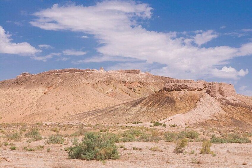 Private Tour from Khiva to Bukhara by Fortresses 5