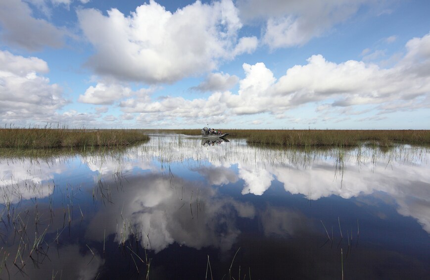 Miami Everglades Experiences with optional Bus Tour and Bayside Cruise 5